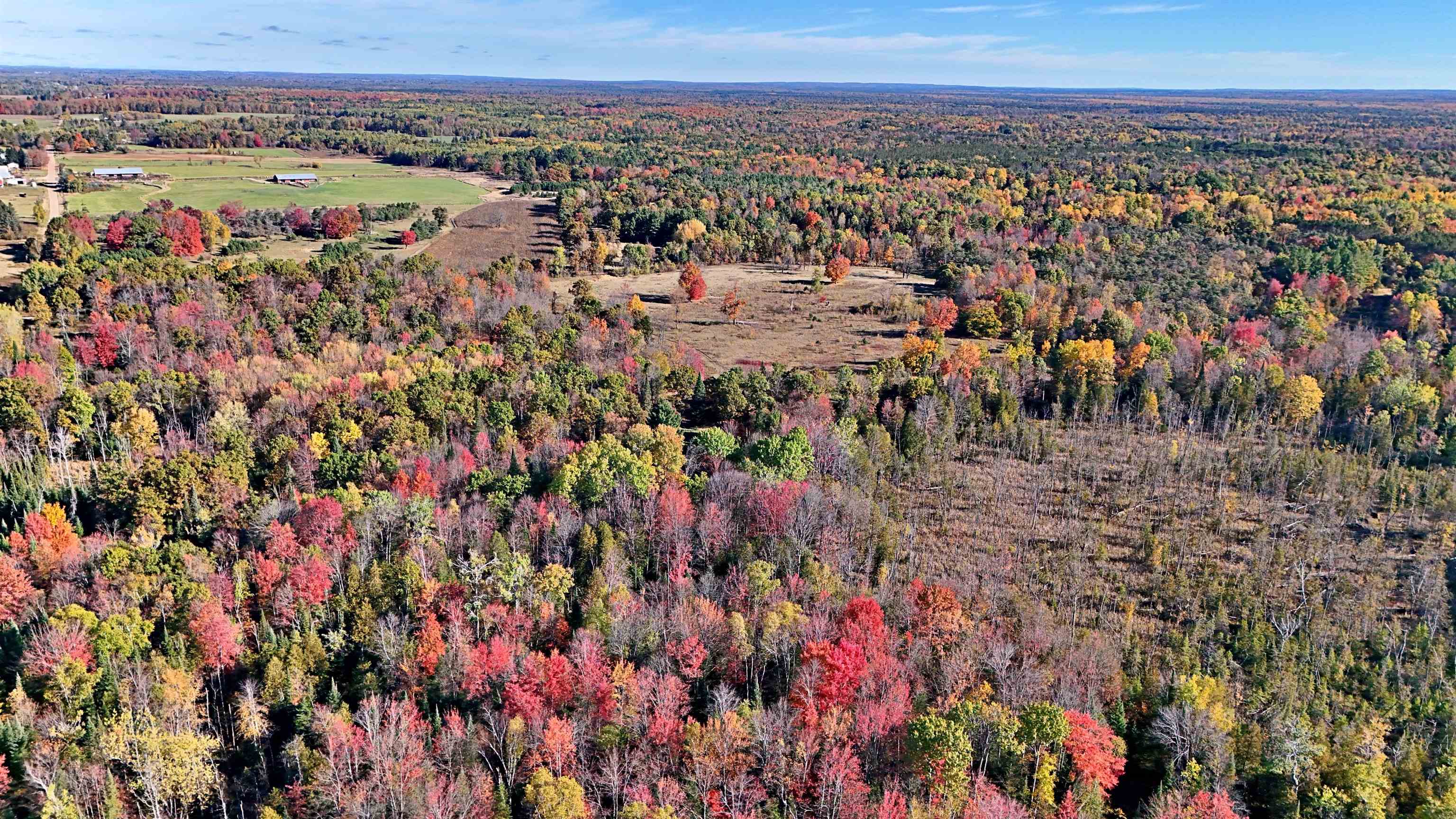 0 Twin Lake Road Marion, MI 49665 - Photo 14 of 33