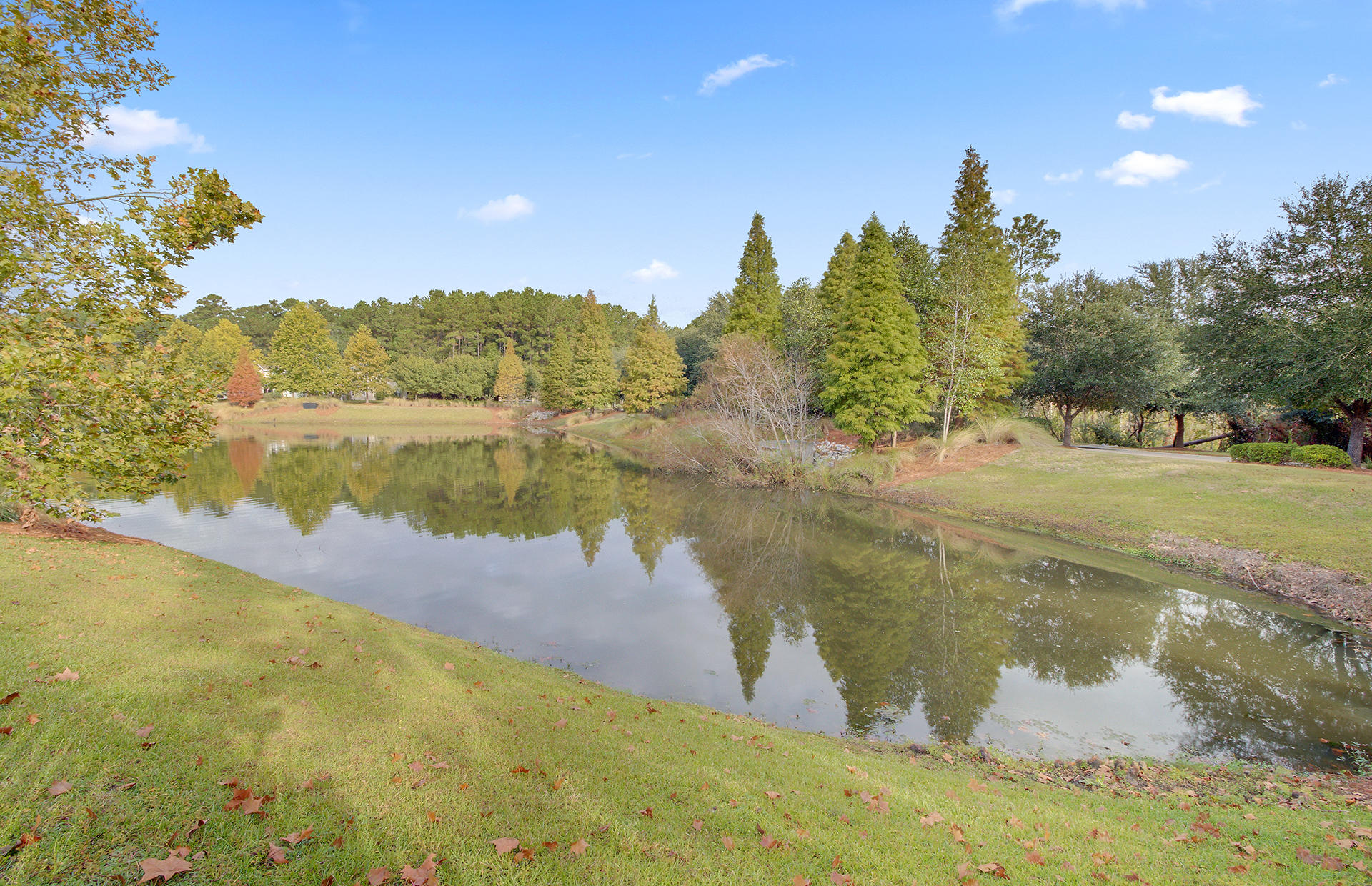 306 Albrighton Way Moncks Corner, SC 29461 - Photo 35 of 43 Pond Site