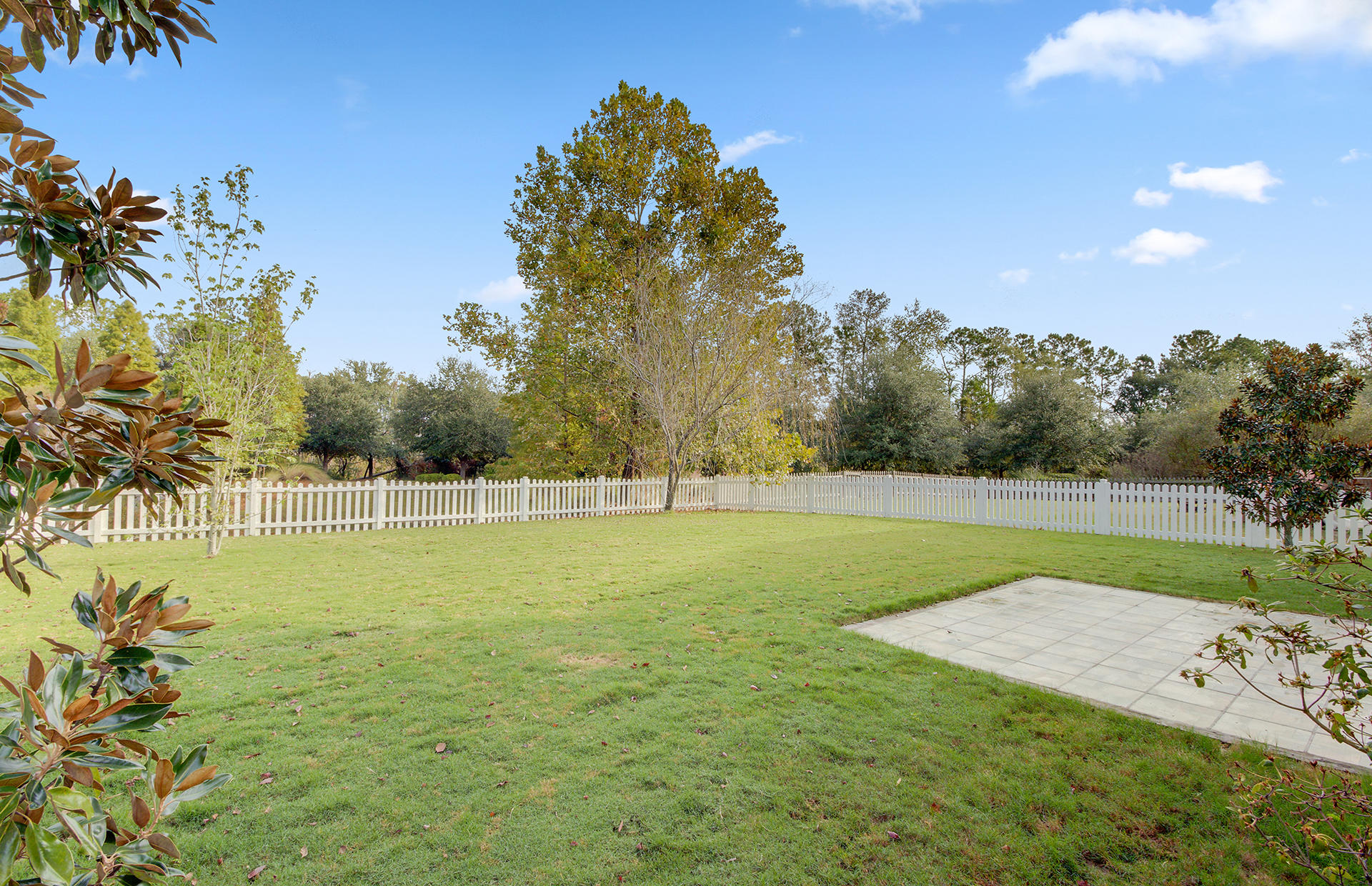 306 Albrighton Way Moncks Corner, SC 29461 - Photo 38 of 43 Backyard
