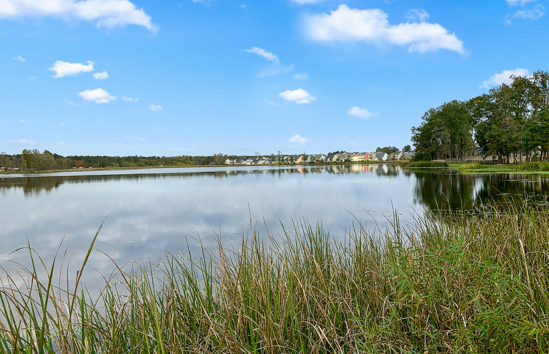 306 Albrighton Way Moncks Corner, SC 29461 - Photo 42 of 43 Lake