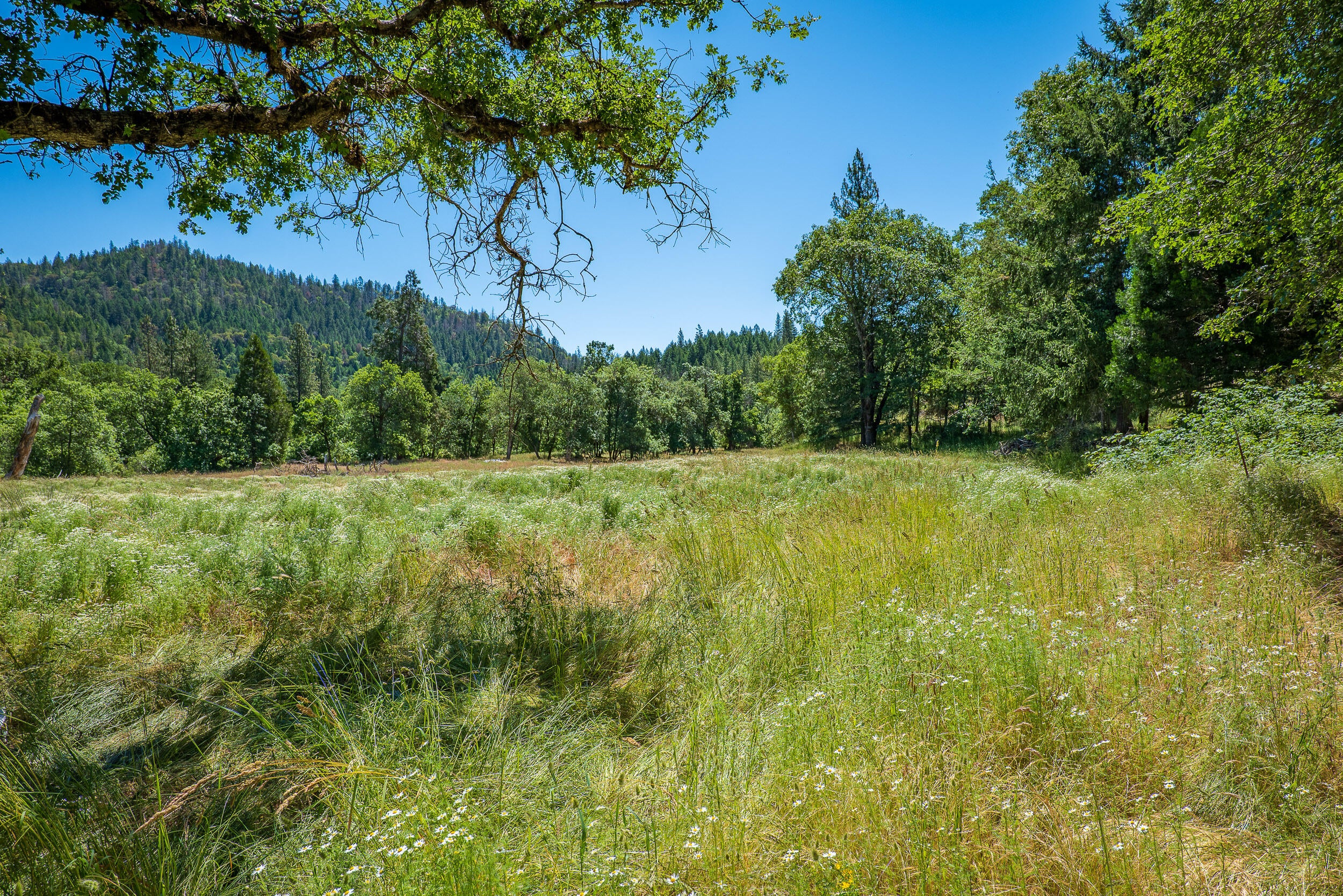 111 Loper Lane Trail, OR 97541 - Photo 40 of 51 29