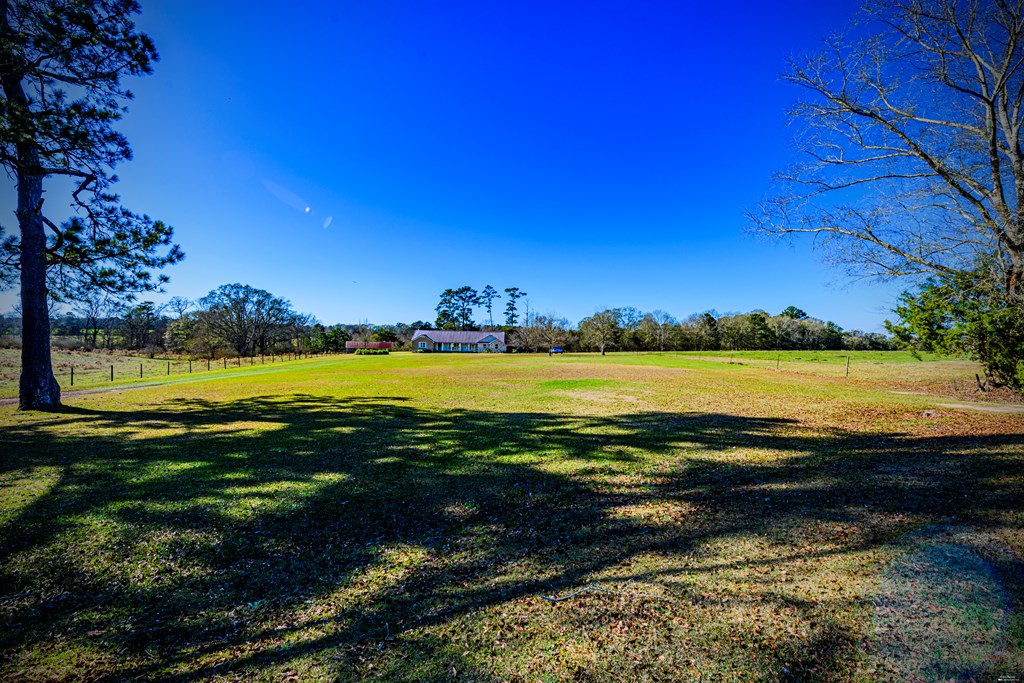 2833 Omussee Road Dothan, AL 36303 - Photo 38 of 51 Front