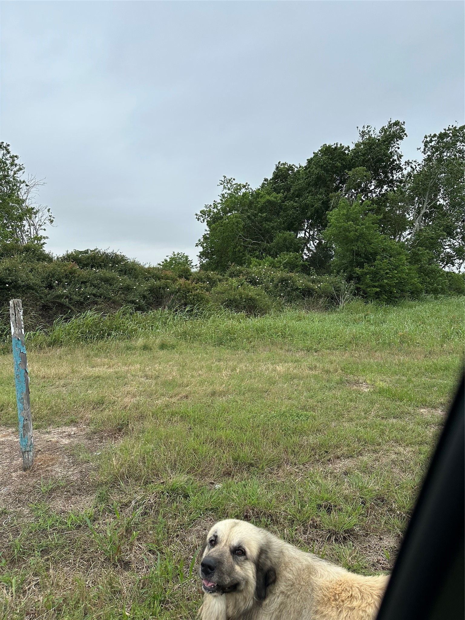 0 West County Road 465 Road Palacios, TX 77465 - Photo 1 of 6 a view of a two yard from a window