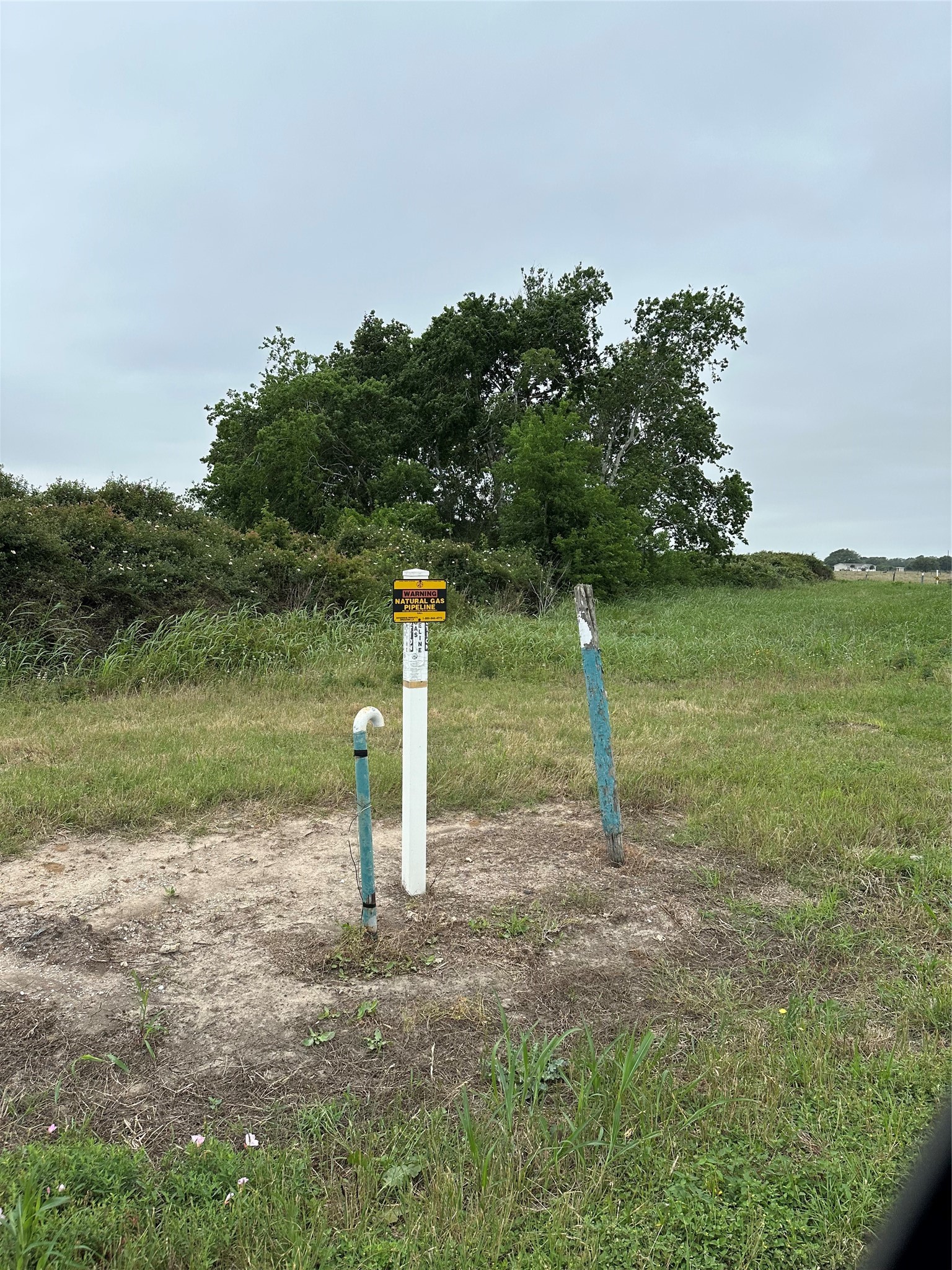 0 West County Road 465 Road Palacios, TX 77465 - Photo 2 of 6 a backyard of a house with lots of green space