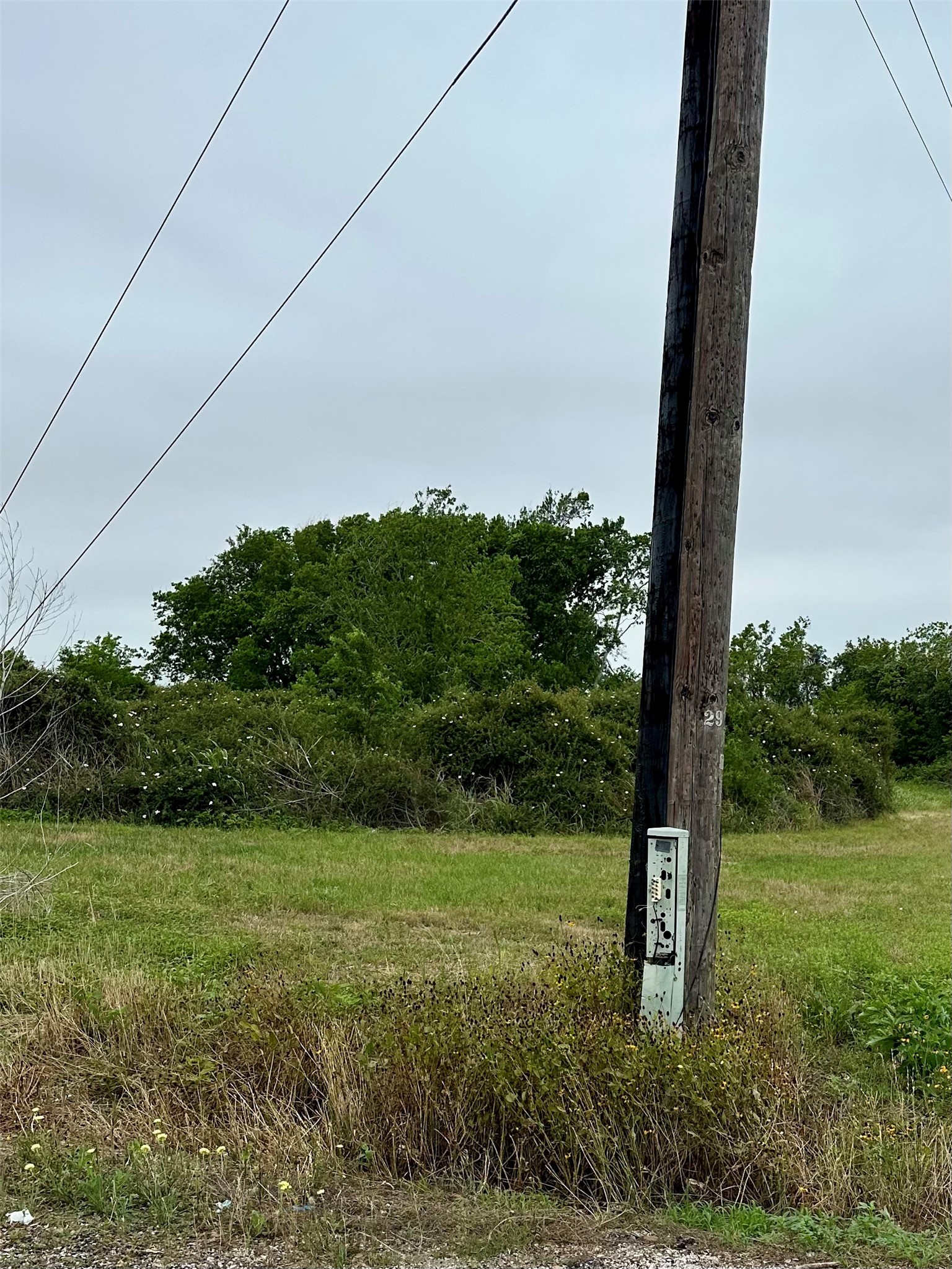 0 West County Road 465 Road Palacios, TX 77465 - Photo 6 of 6 a view of a garden