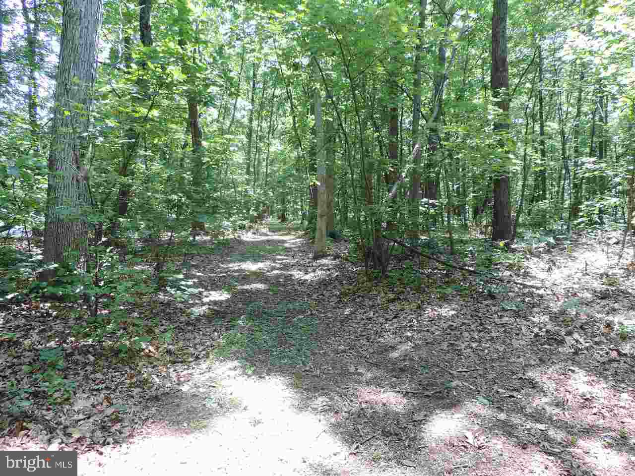 2157 Ridgeview Road Dallastown, PA 17313 - Photo 34 of 36