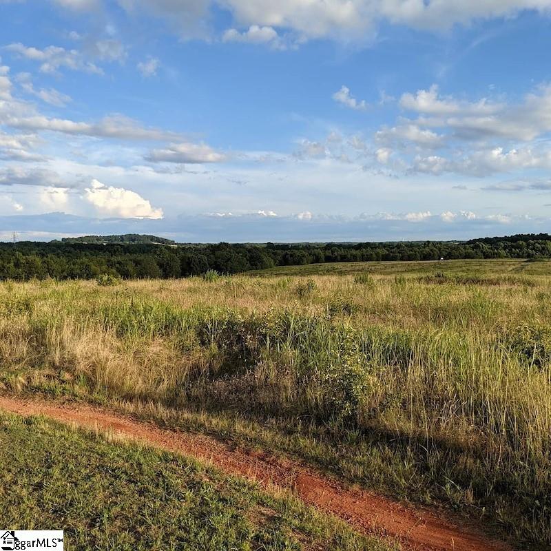 574 New Cut Meadows Road, Unit HOMESITE 47 Inman, SC 29349 - Photo 7 of 11 Gallery Image 7