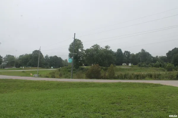 a view of field with tall trees