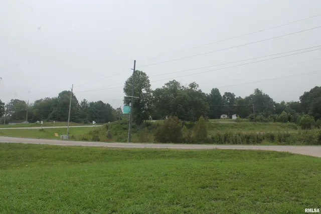 a view of field with tall trees
