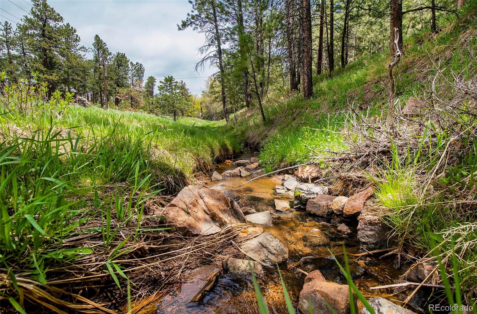 28958 Buffalo Park Road Evergreen, CO 80439 - Photo 15 of 47 Gallery Image 15