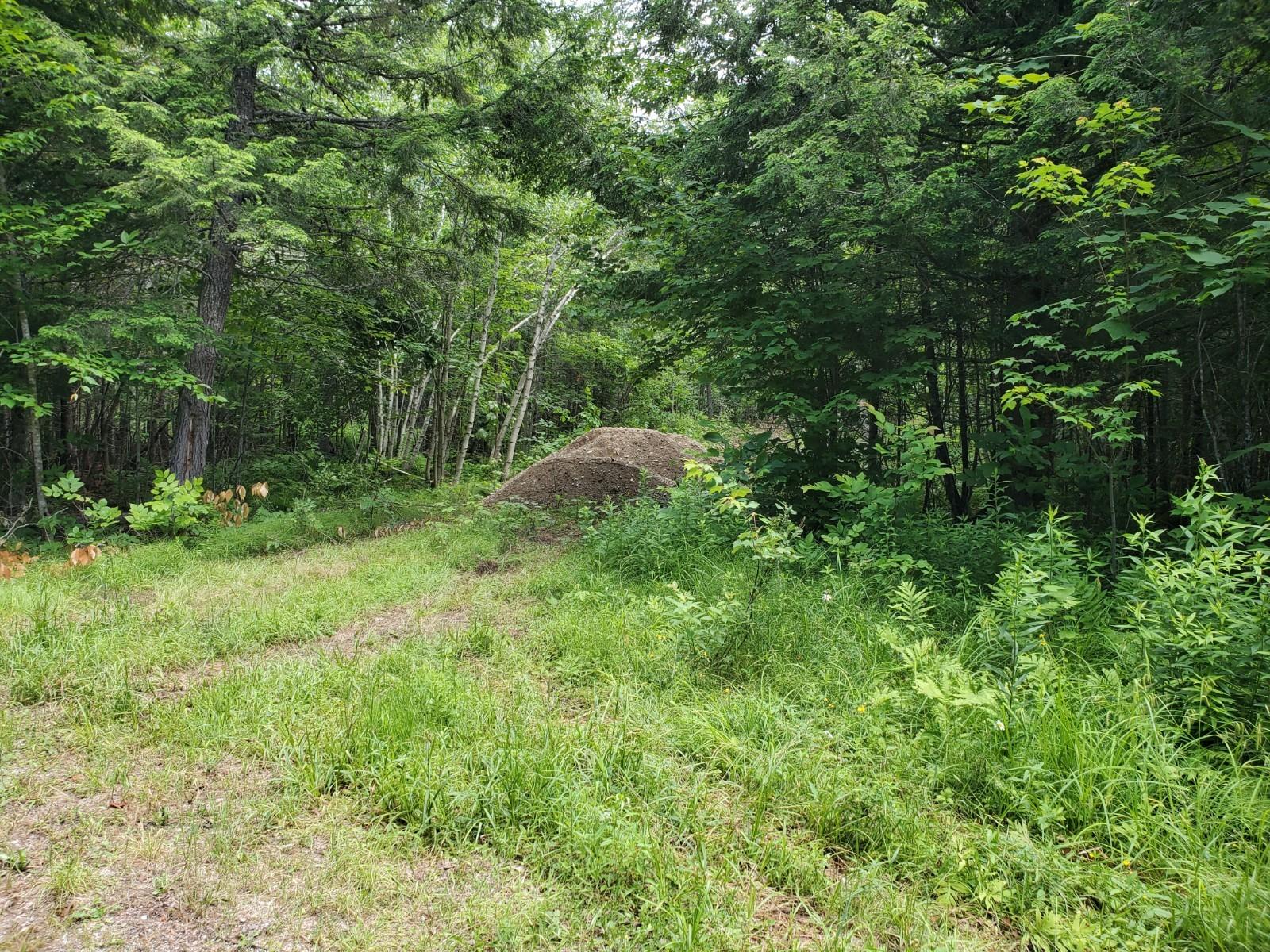 0 Ames Road Lee, ME 04487 - Photo 2 of 4 20210623_122006