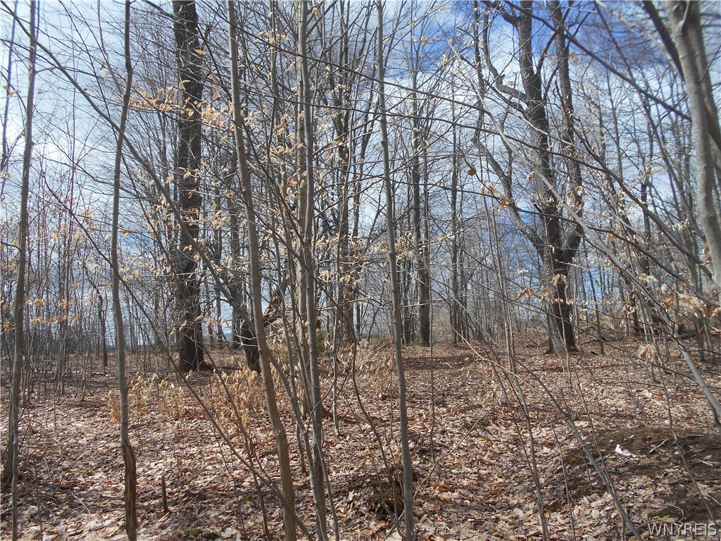 0 Genesee Road Lawtons, NY 14091 - Photo 23 of 34