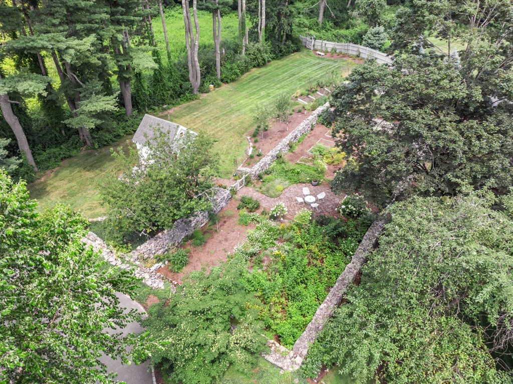 15 Training Field Road Wayland, MA 01778 - Photo 33 of 37 a view of a garden with plants