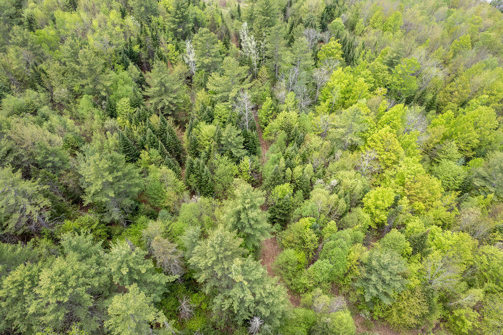 13-10 Dore Hill Road Athens, ME 04912 - Photo 21 of 47 DJI_0086