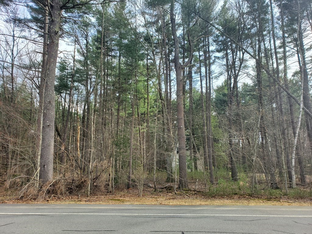 Lot 1 Westhampton Road Northampton, MA 01062 - Photo 1 of 2 Gallery Image 1