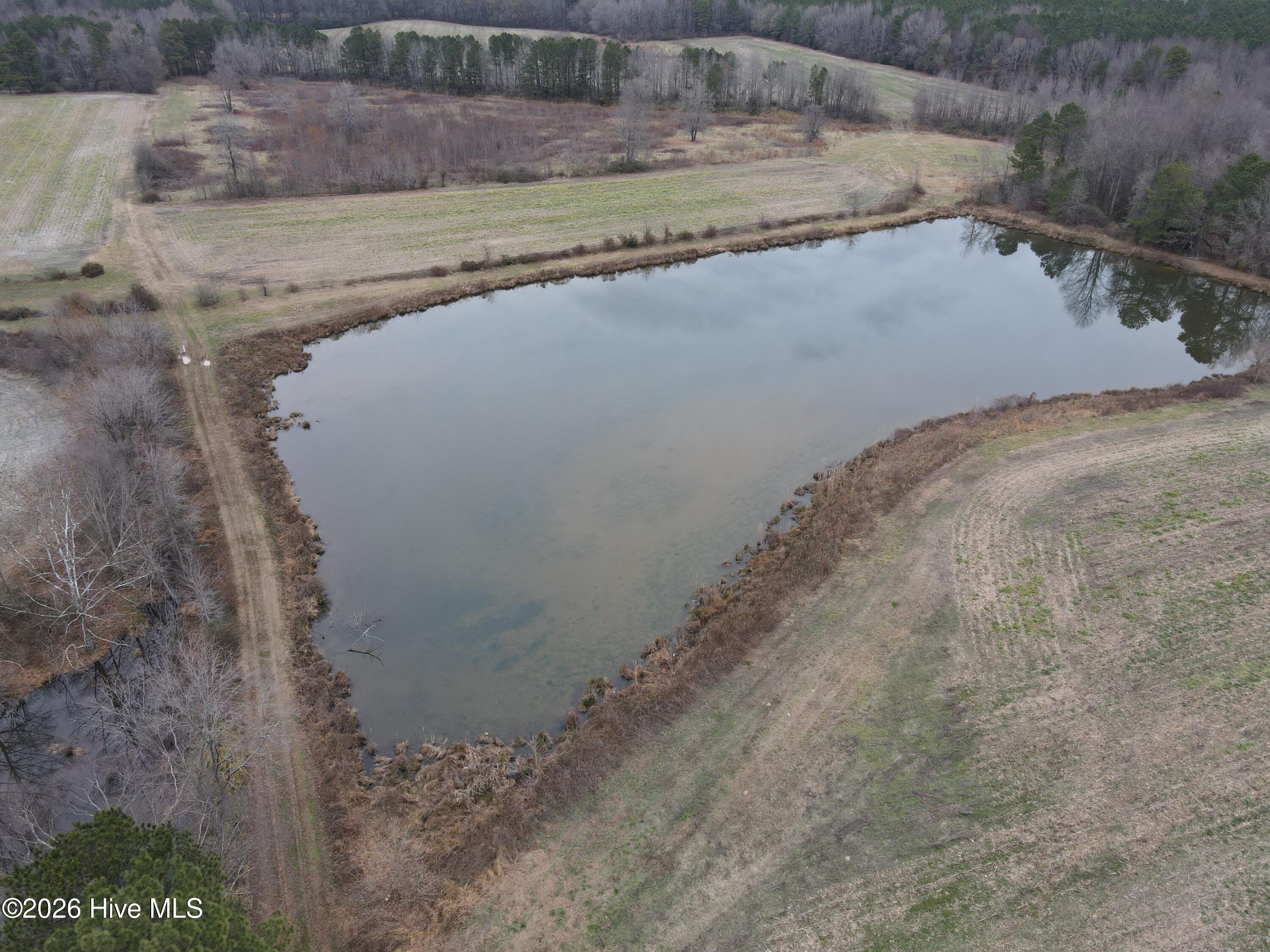 8201 Cedar Grove School Loop Road Nashville, NC 27856 - Photo 26 of 68 CG MLS 26