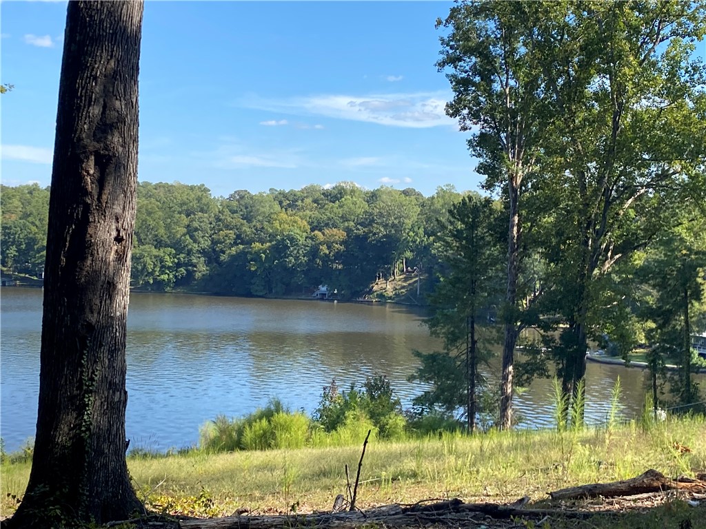 0 Mcfalls Circle Anderson, SC 29621 - Photo 6 of 7 Mature trees frame a peaceful lake view under clear blue skies.