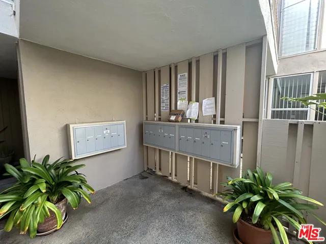 a view of a hallway with a potted plant
