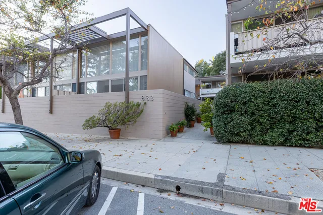 a view of a hallway with plants and a potted plant