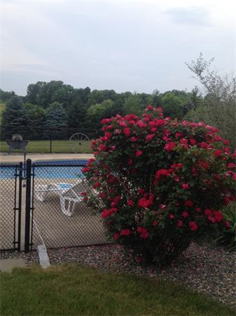 4 Randall Road Berlin, MA 01503 - Photo 11 of 13 a view of a garden with a flower garden