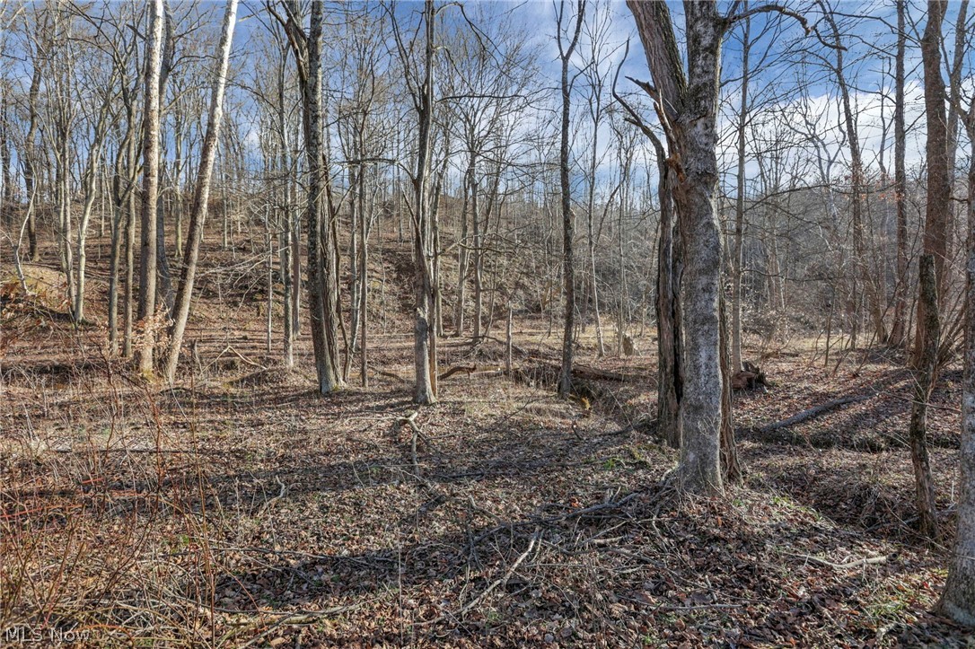 3750 Cannelville Road Roseville, OH 43777 - Photo 25 of 33 View of local wilderness