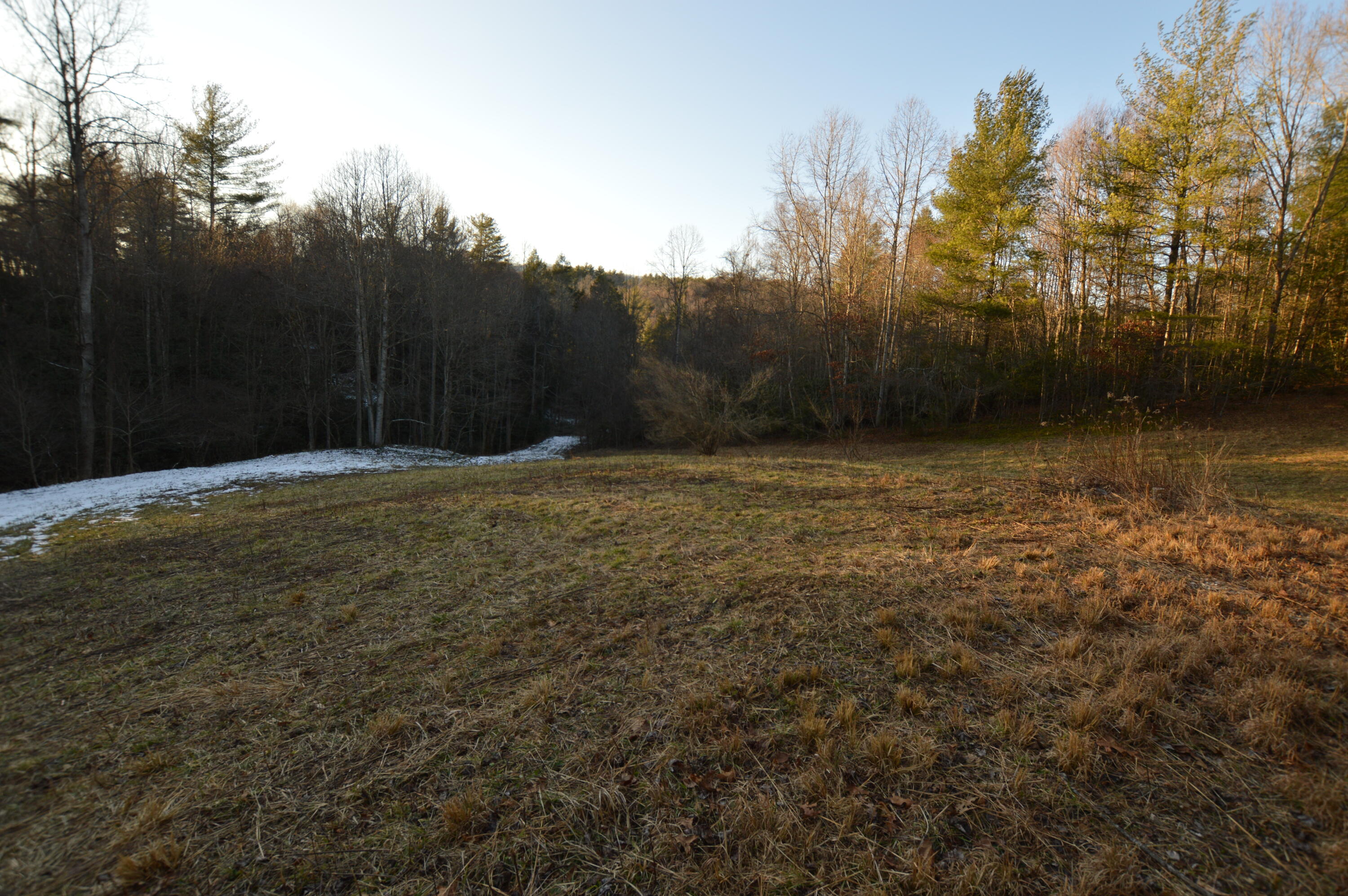 Lot 3 Simerly Creek Road, Unit 3 Hampton, TN 37658 - Photo 1 of 16 DSC_0026