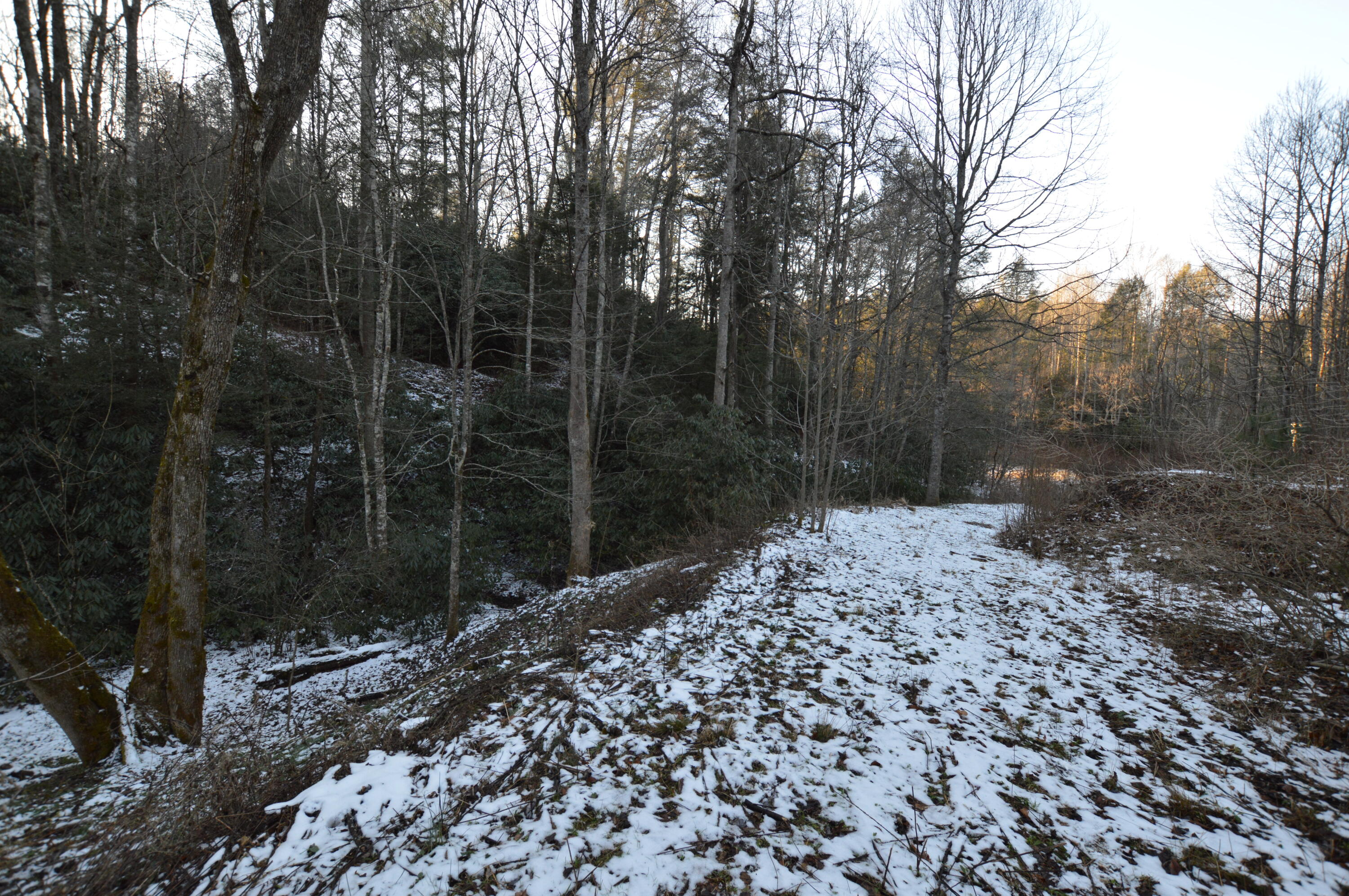 Lot 3 Simerly Creek Road, Unit 3 Hampton, TN 37658 - Photo 11 of 16 DSC_0024