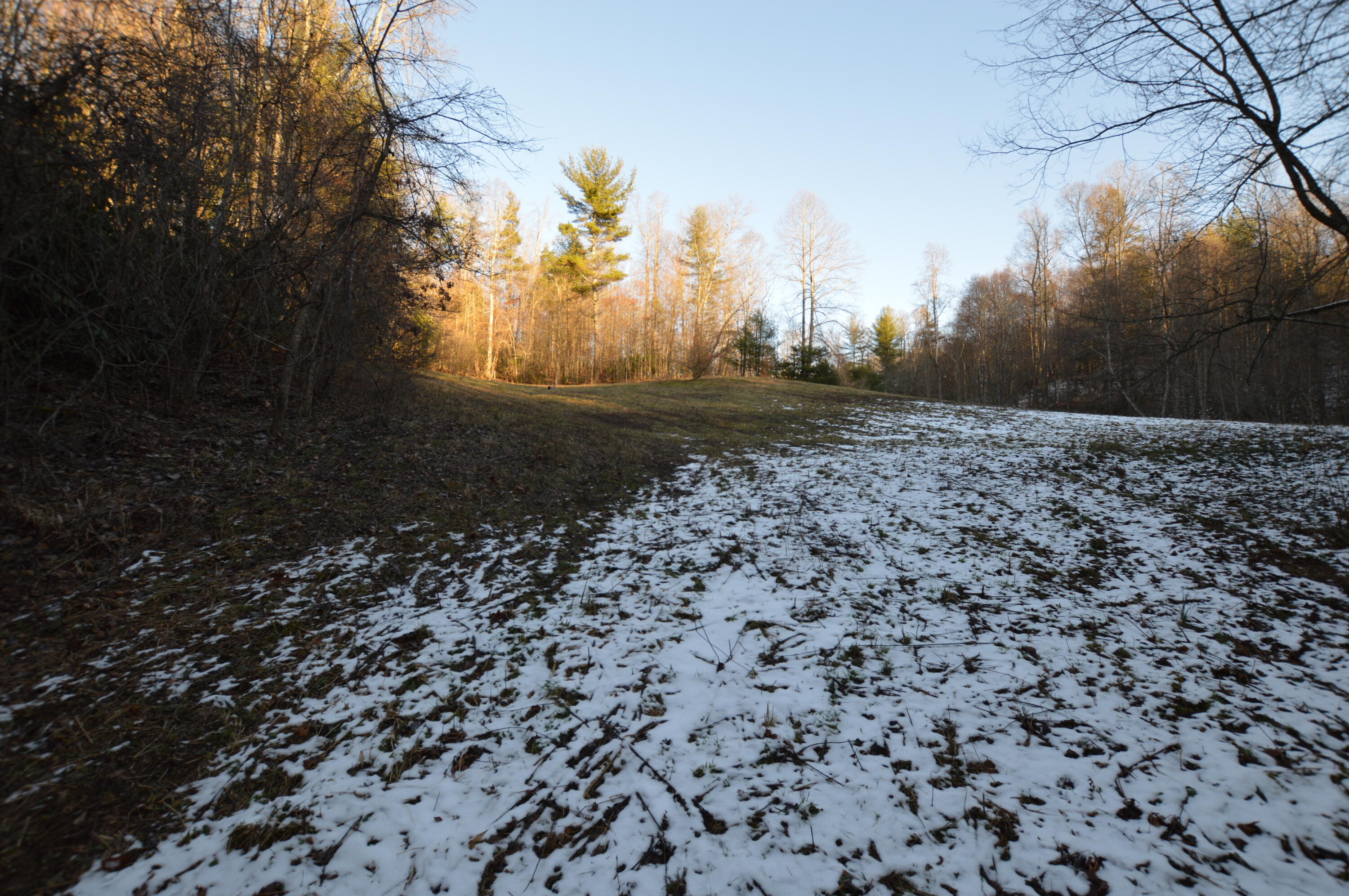 Lot 3 Simerly Creek Road, Unit 3 Hampton, TN 37658 - Photo 12 of 16 DSC_0025