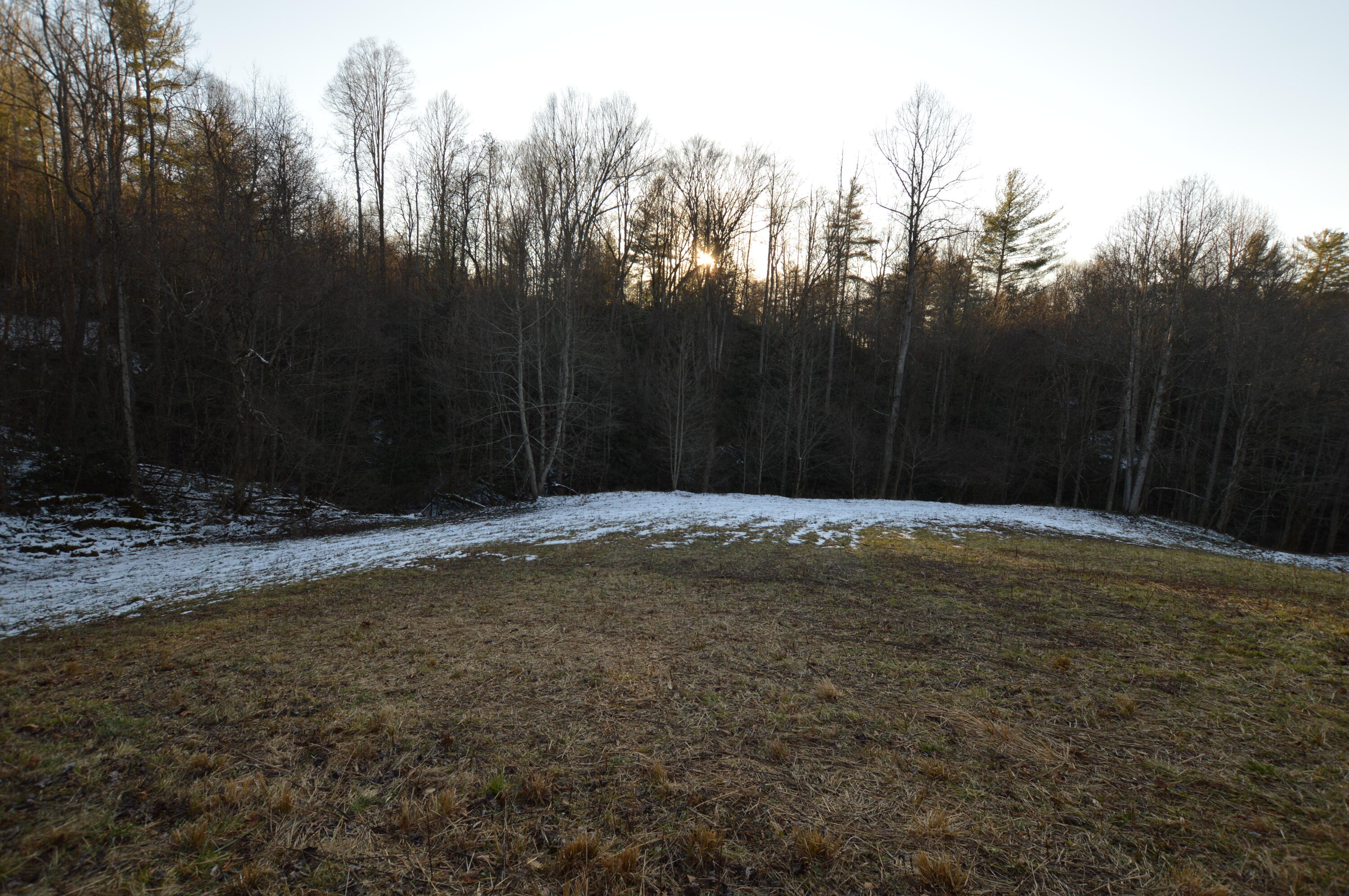 Lot 3 Simerly Creek Road, Unit 3 Hampton, TN 37658 - Photo 13 of 16 DSC_0027