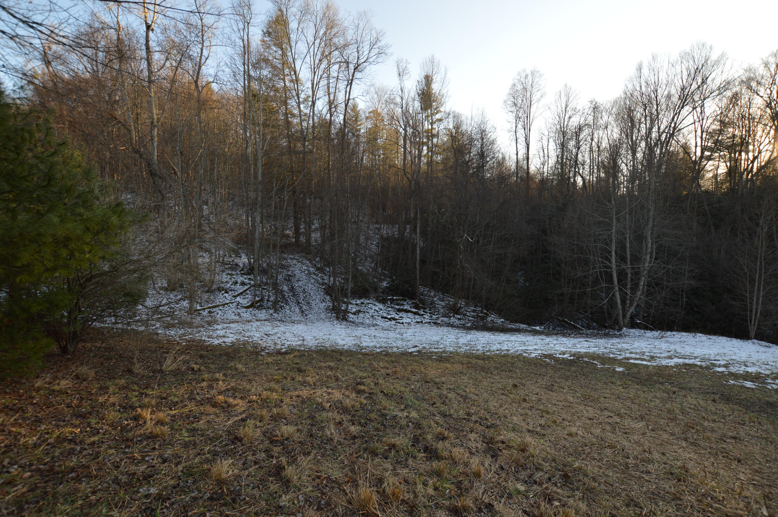 Lot 3 Simerly Creek Road, Unit 3 Hampton, TN 37658 - Photo 14 of 16 DSC_0028