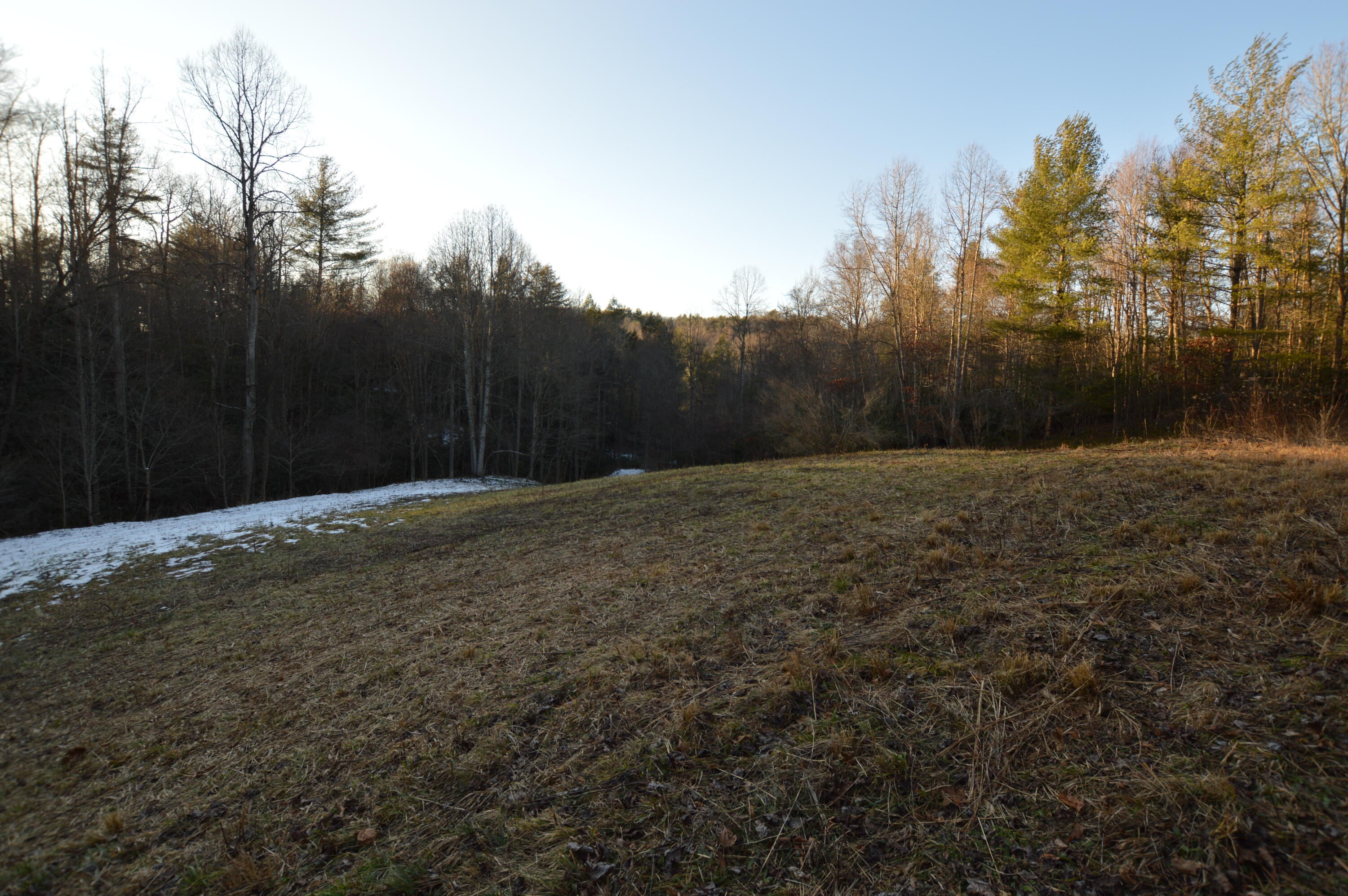 Lot 3 Simerly Creek Road, Unit 3 Hampton, TN 37658 - Photo 15 of 16 DSC_0029