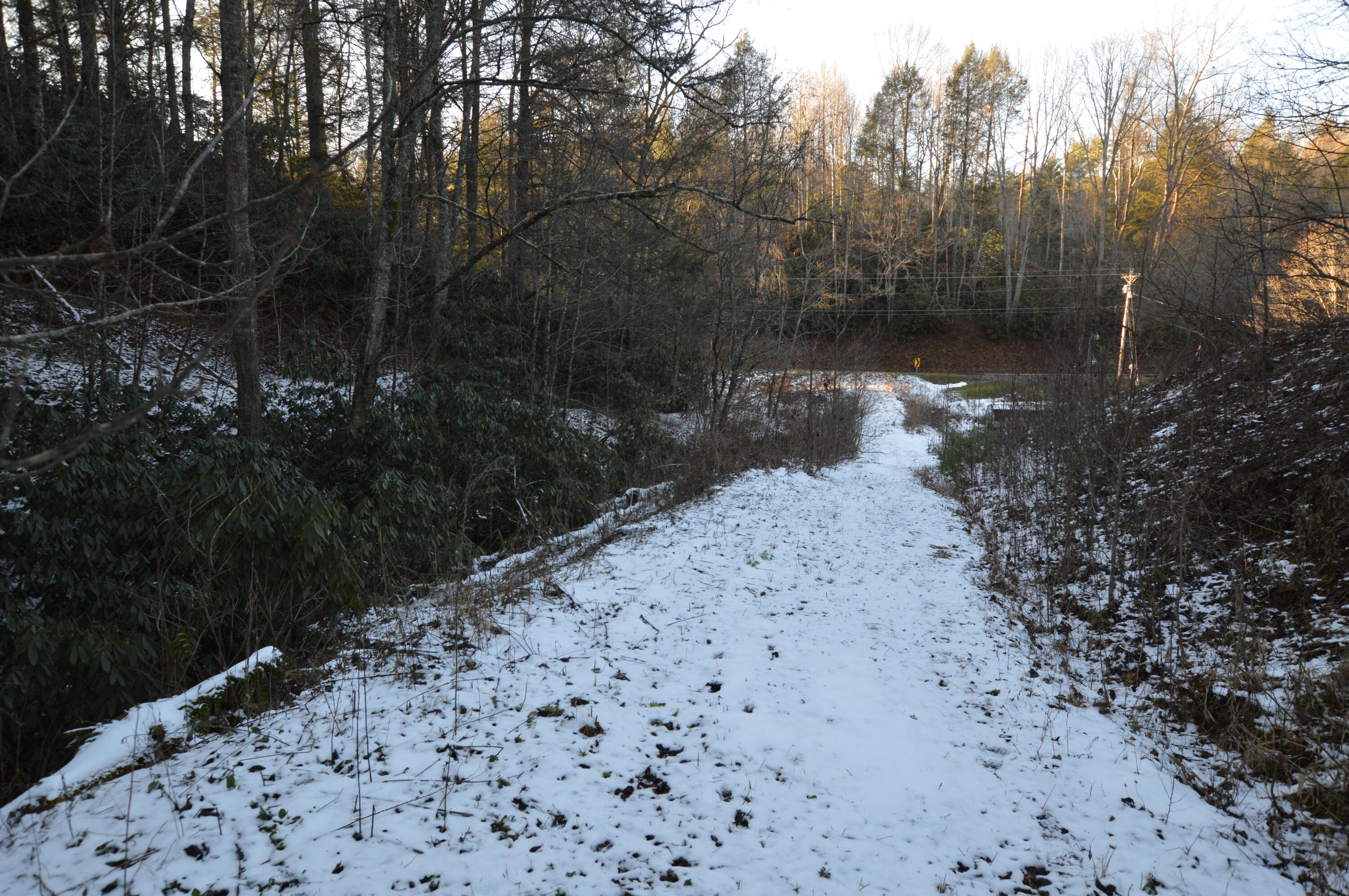 Lot 3 Simerly Creek Road, Unit 3 Hampton, TN 37658 - Photo 2 of 16 DSC_0033