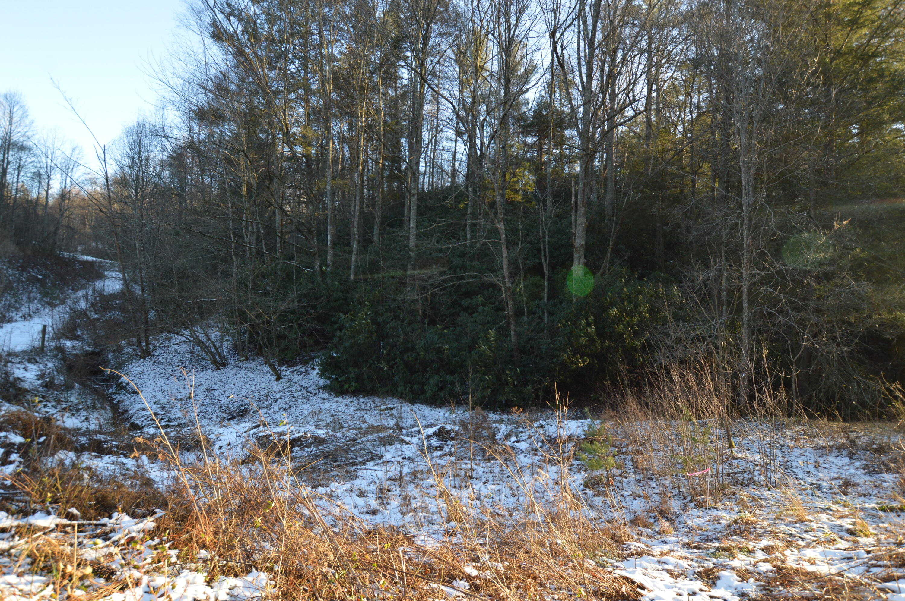 Lot 3 Simerly Creek Road, Unit 3 Hampton, TN 37658 - Photo 4 of 16 DSC_0017