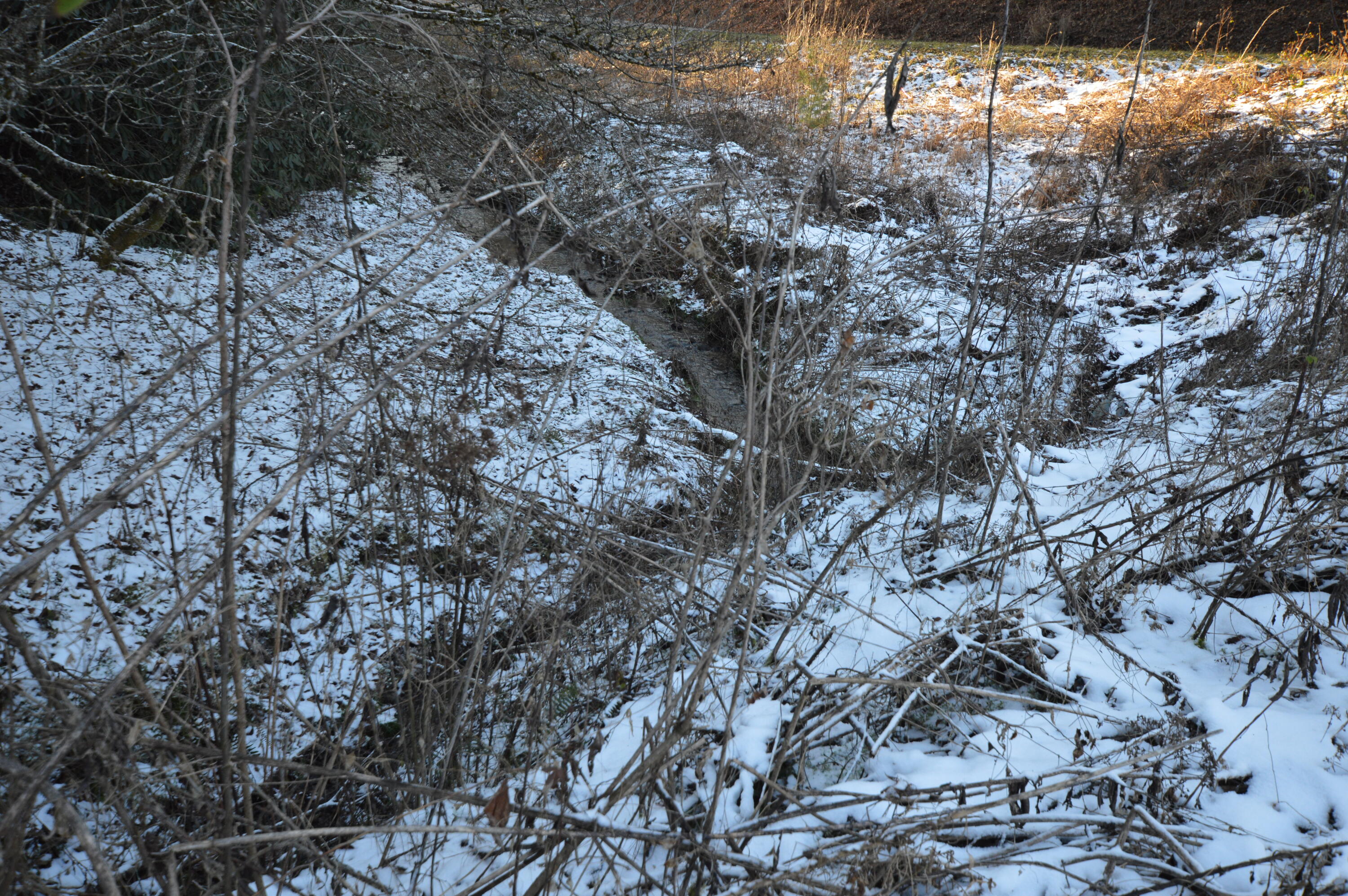 Lot 3 Simerly Creek Road, Unit 3 Hampton, TN 37658 - Photo 6 of 16 DSC_0019