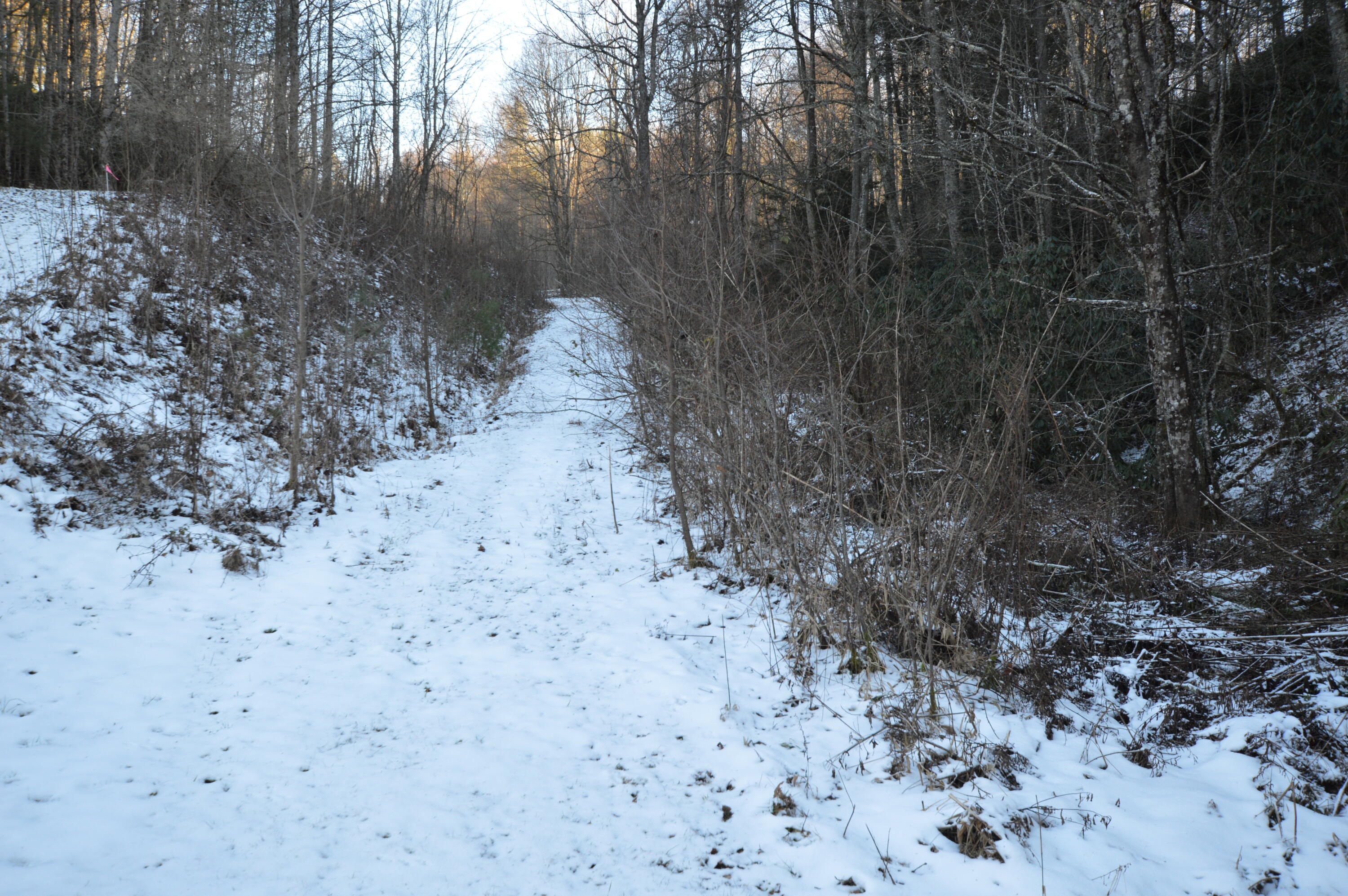 Lot 3 Simerly Creek Road, Unit 3 Hampton, TN 37658 - Photo 7 of 16 DSC_0020
