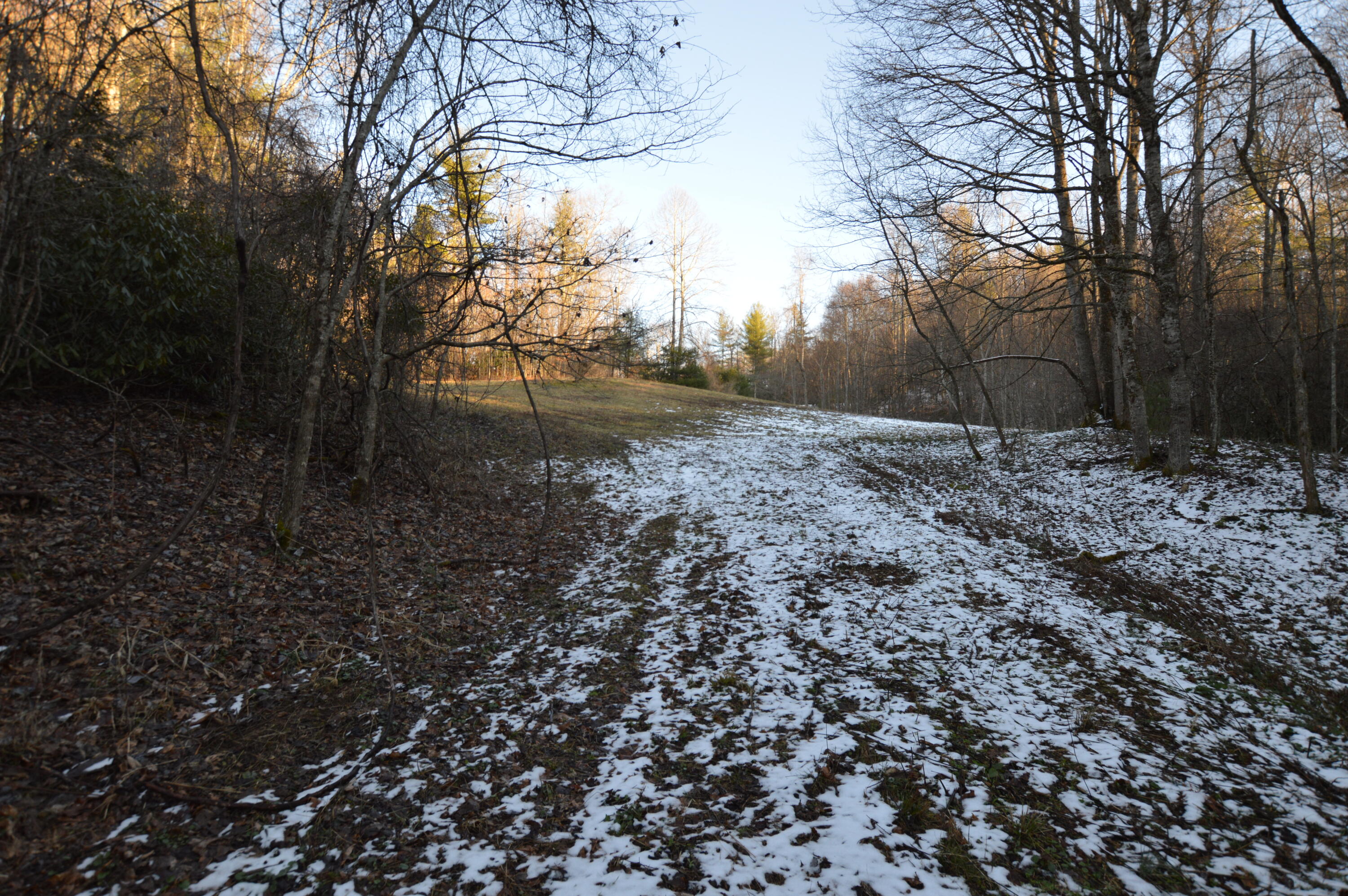Lot 3 Simerly Creek Road, Unit 3 Hampton, TN 37658 - Photo 10 of 16 DSC_0023
