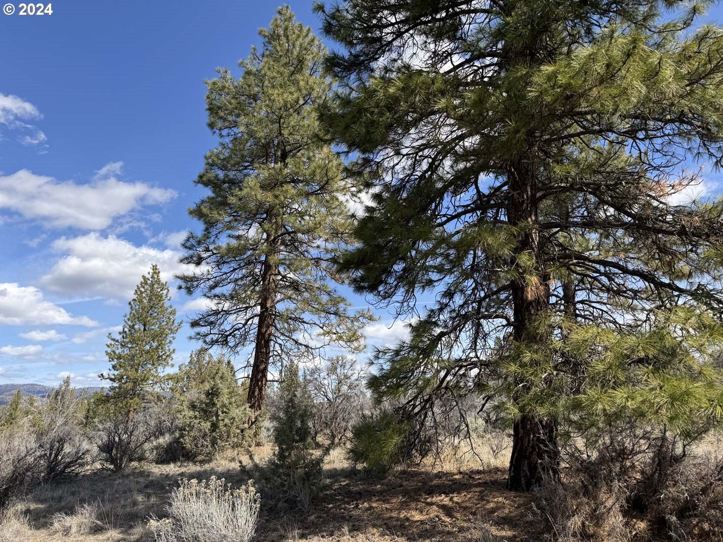 Quarry Circle, Unit 12 Beatty, OR 97621 - Photo 21 of 23 Gallery Image 21