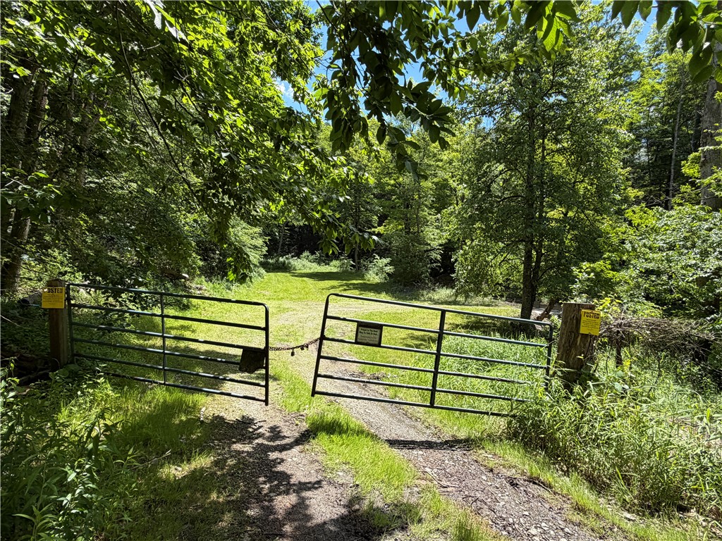 2213 Brown Hollow Road Corning, NY 14830 - Photo 3 of 50