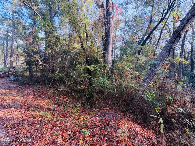 $39,000 | 1574 Hollywood Street, Shallotte, NC 28470