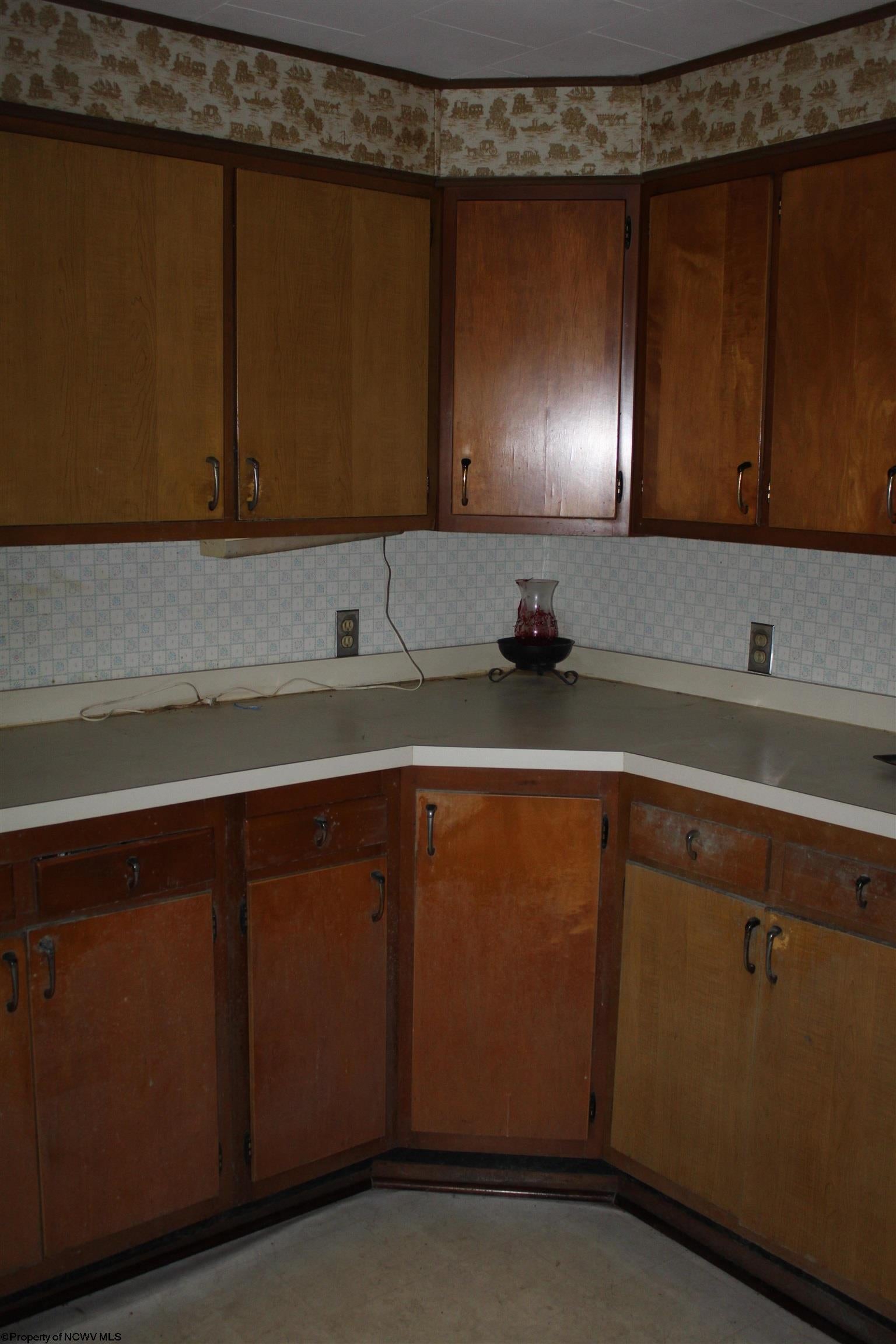 2299 Webster Road Webster Springs, WV 26288 - Photo 2 of 17 Gallery Image 2