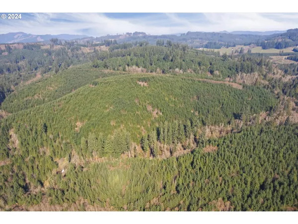 a view of a lush green hillside and a mountain