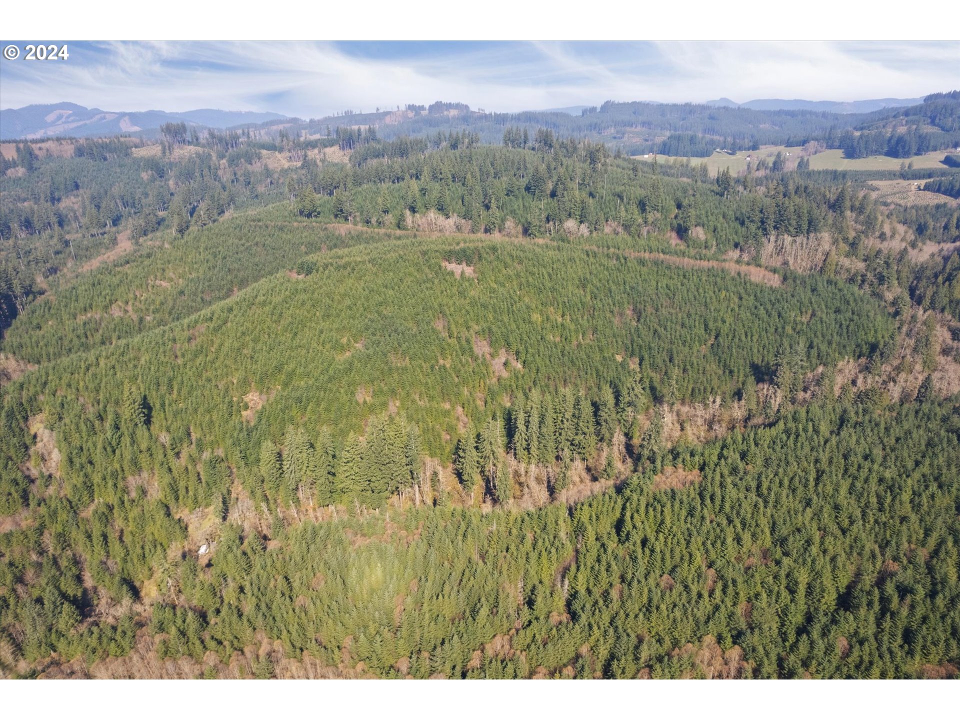 a view of a lush green hillside and a mountain