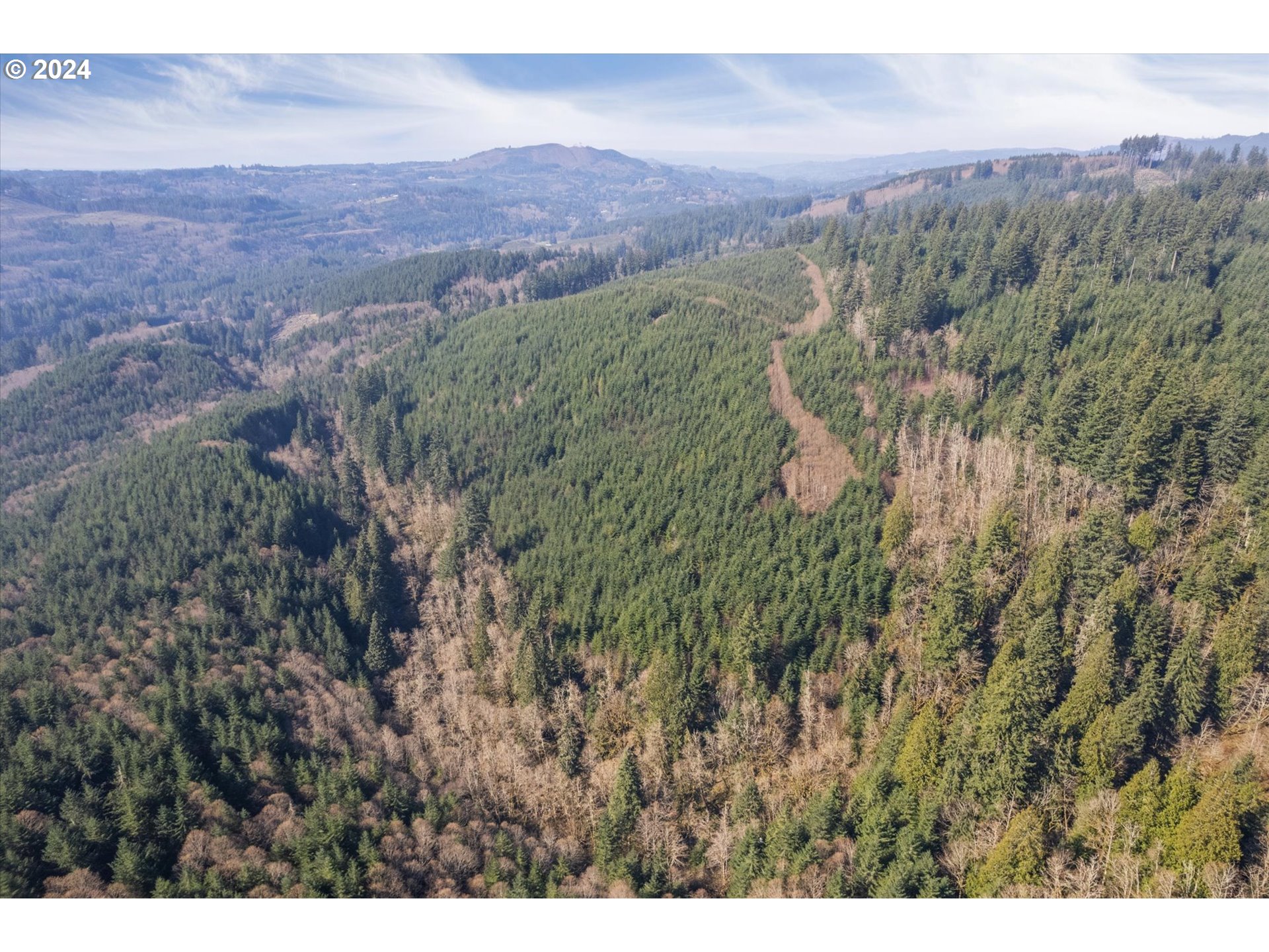 0 Northeast Cedar Mist Road Amboy, WA 98601 - Photo 11 of 17 a view of a lush green field