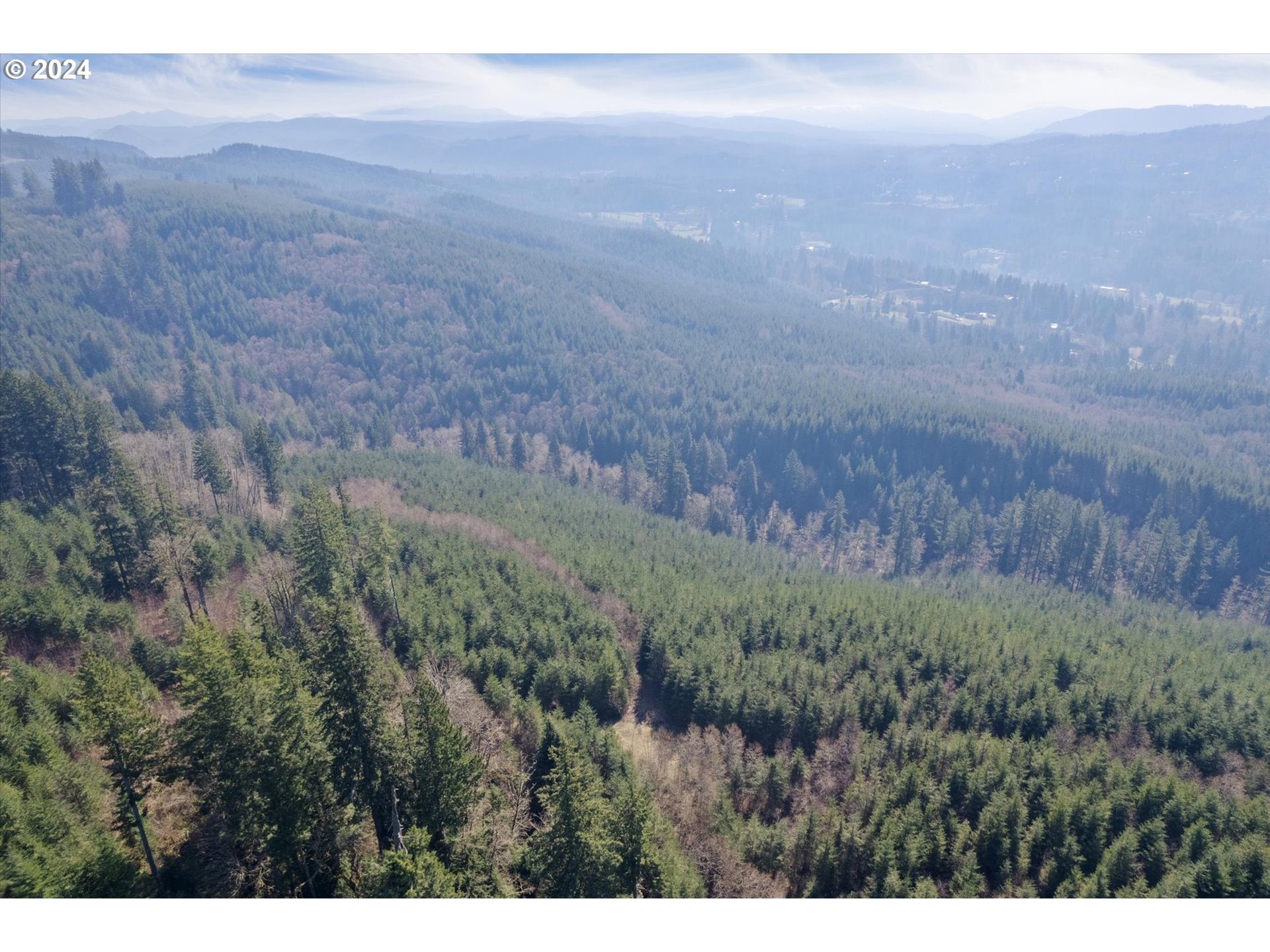 0 Northeast Cedar Mist Road Amboy, WA 98601 - Photo 13 of 17 a view of a field