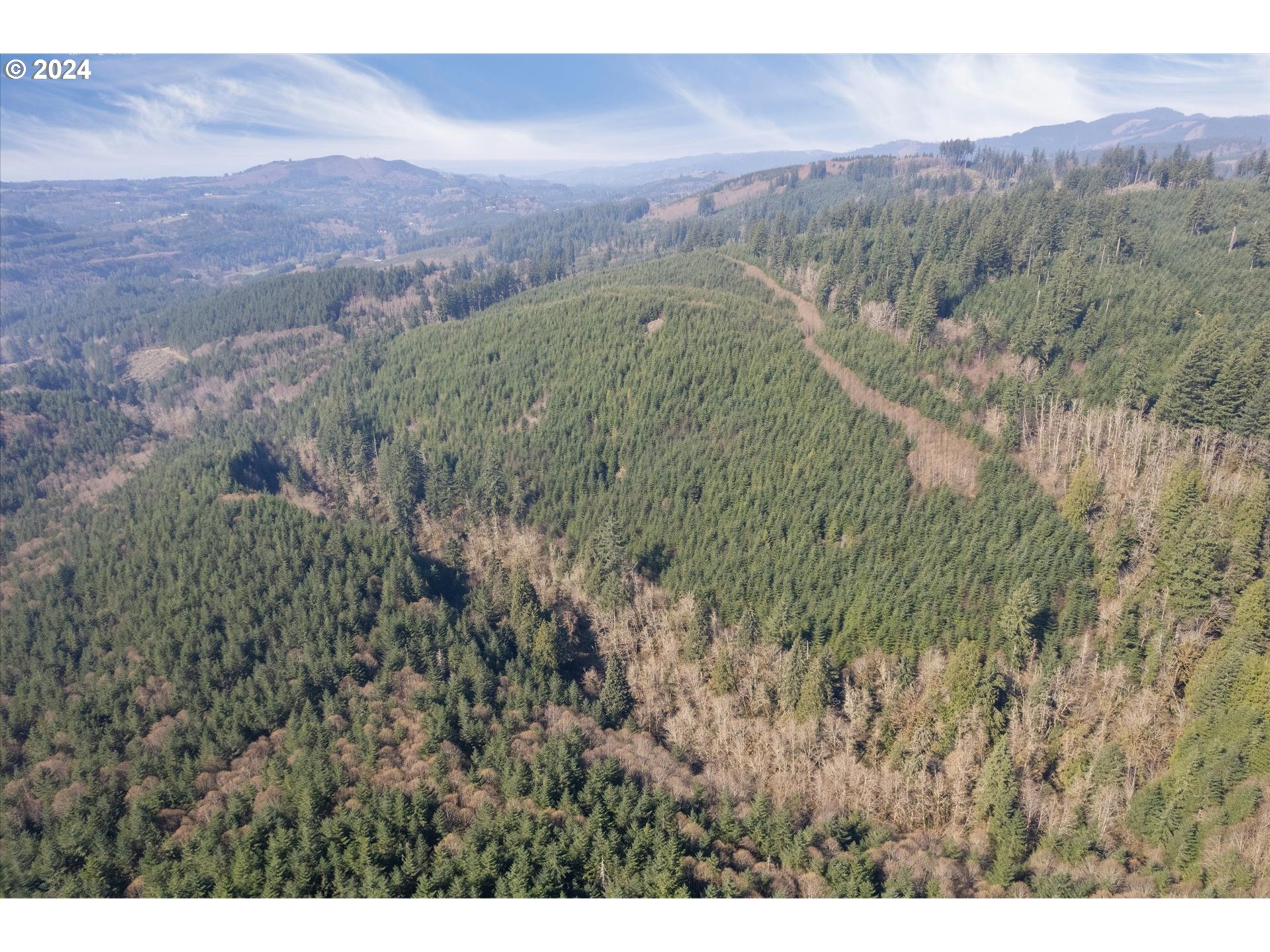 0 Northeast Cedar Mist Road Amboy, WA 98601 - Photo 14 of 17 a view of a lush green hillside and a building