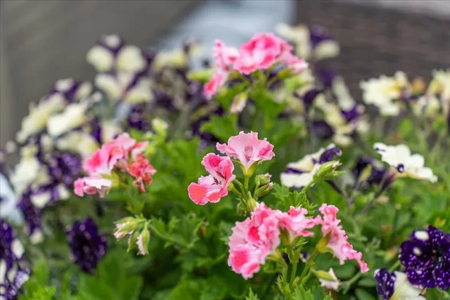 $529,900 | 1021 167th Street, Hammond, WI 54015