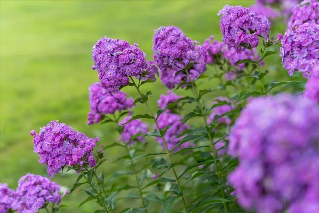 $529,900 | 1021 167th Street, Hammond, WI 54015