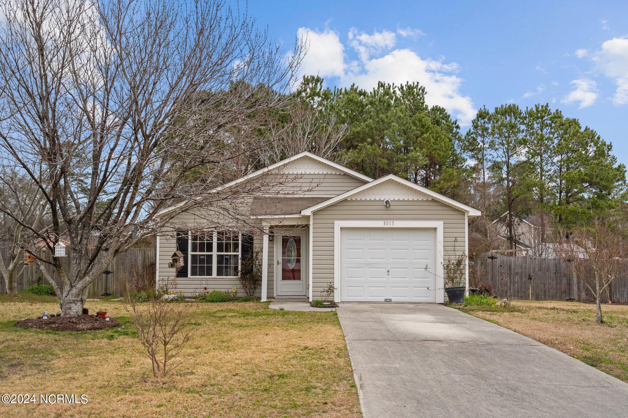 3015 Harvest Road Castle Hayne, NC 28429 - Photo 1 of 72 3-web-or-mls-DSC01156