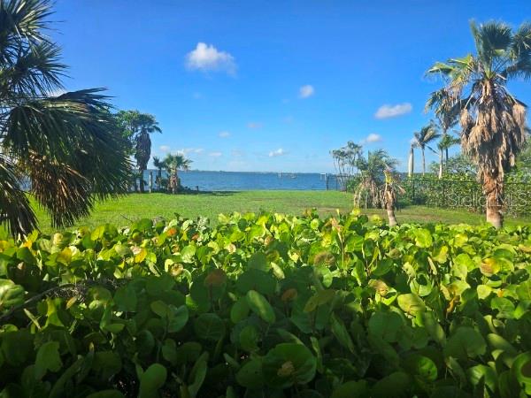 285 Horseshoe Loop Road Terra Ceia, FL 34250 - Photo 13 of 16 a view of a yard with plants and large trees