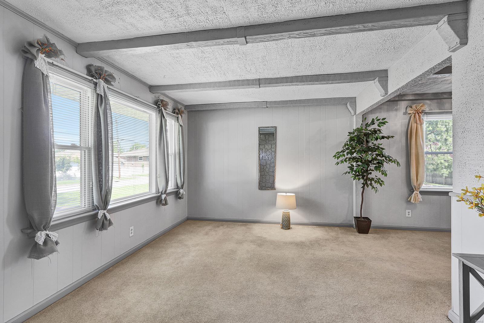 4101 Weber Road St. Louis, MO 63123 - Photo 4 of 22 Gallery Image 4